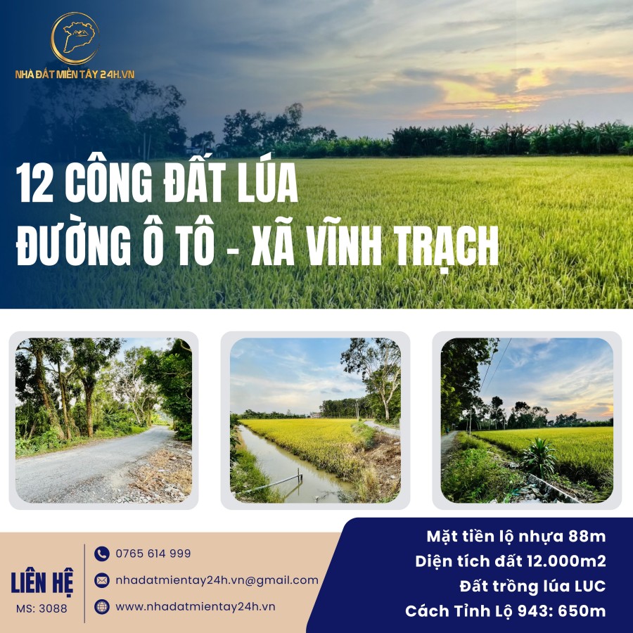 🌾 🌟 BÁN 12 CÔNG ĐẤT LÚA – MẶT TIỀN ĐẸP, VỊ TRÍ VÀNG THOẠI SƠN, AN GIANG (MS: 3088) 🌟 🌾